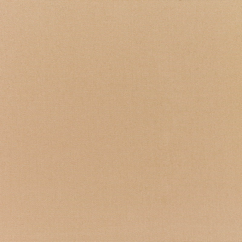 Canvas Camel