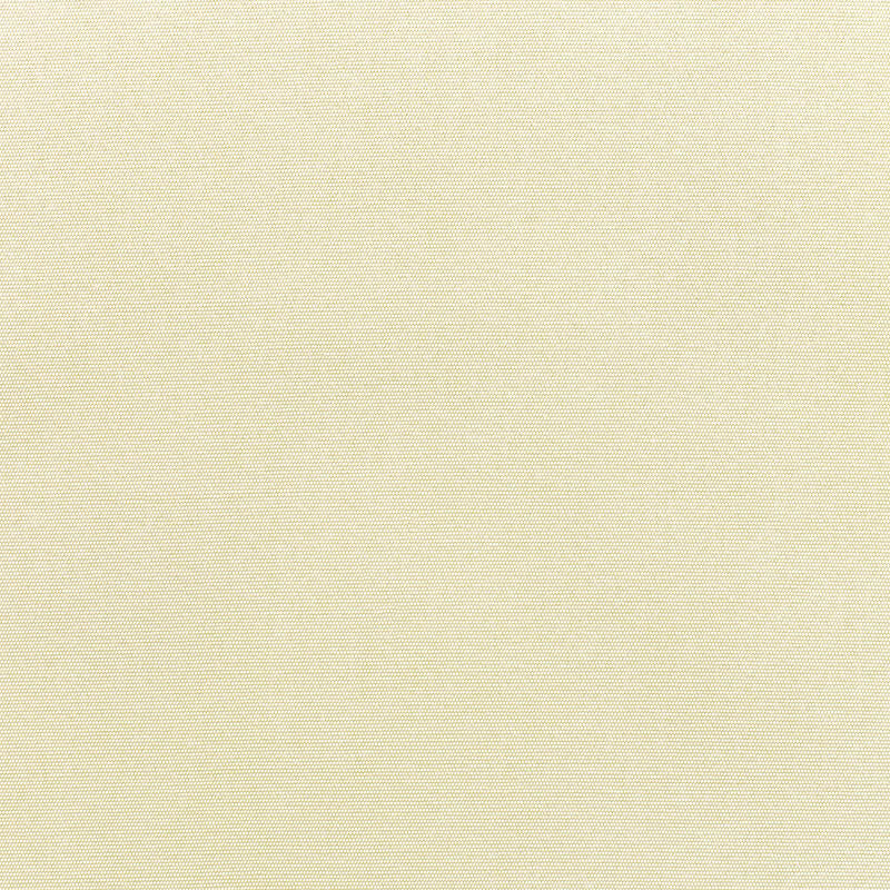 Canvas Canvas
