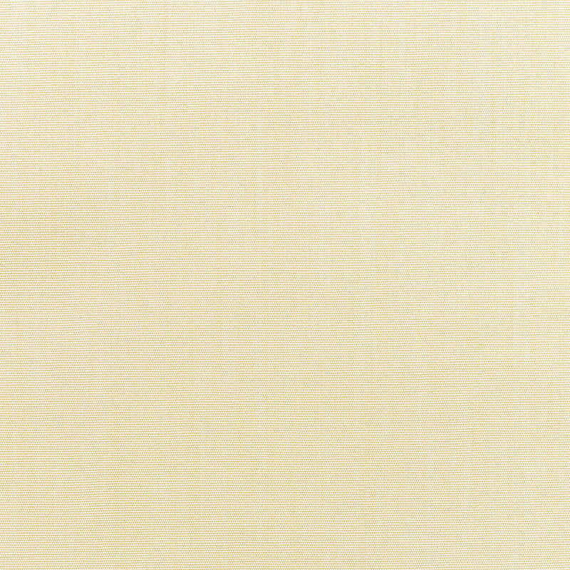 Canvas Vellum
