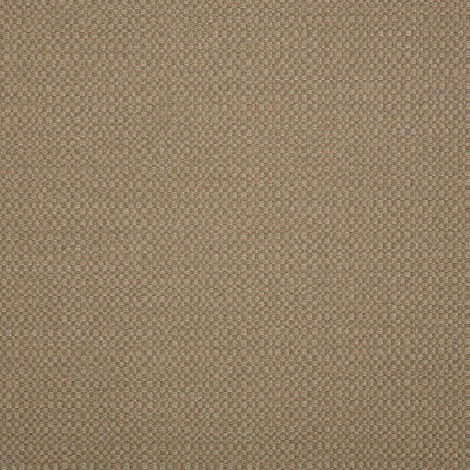 Action Taupe